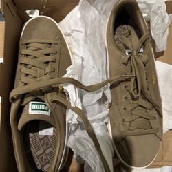 Pumas