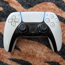 PS5 Controller