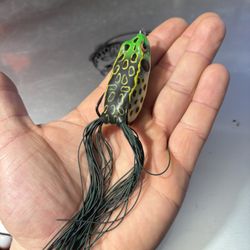 Booyah Pad Crusher Frog