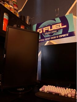 Vertical second monitor and web cam