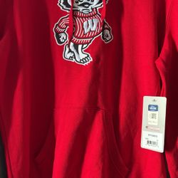 Wisconsin Hoodie 