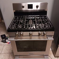 Frigidaire Professional Gas Range