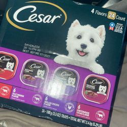 Cesar Dog Food 24ct