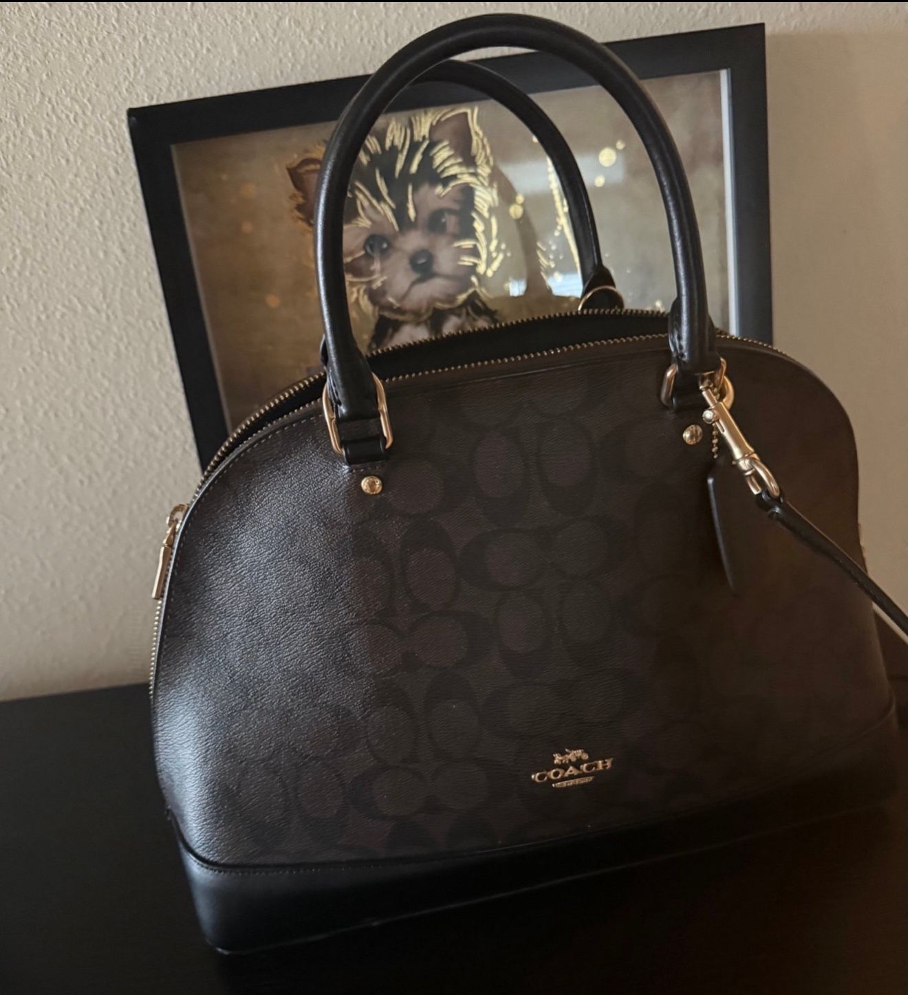 EUC Coach hand bag . Cross body bag