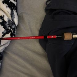 Daiwa Ultra Light Spinning Rod 