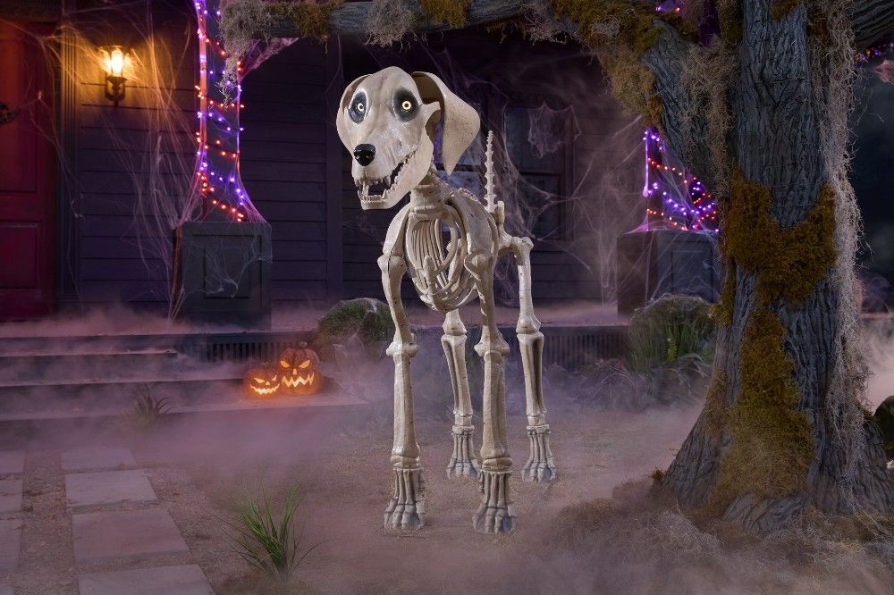 Skelly Dog