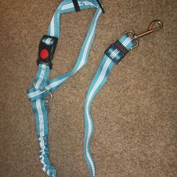 Removable Dog Seat Belt Harness For Car