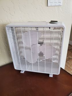Fan