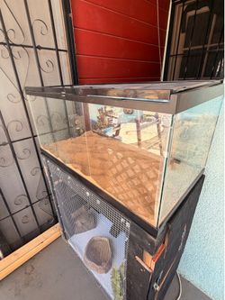 40 gallon tank