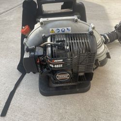 Echo Leaf Blower 