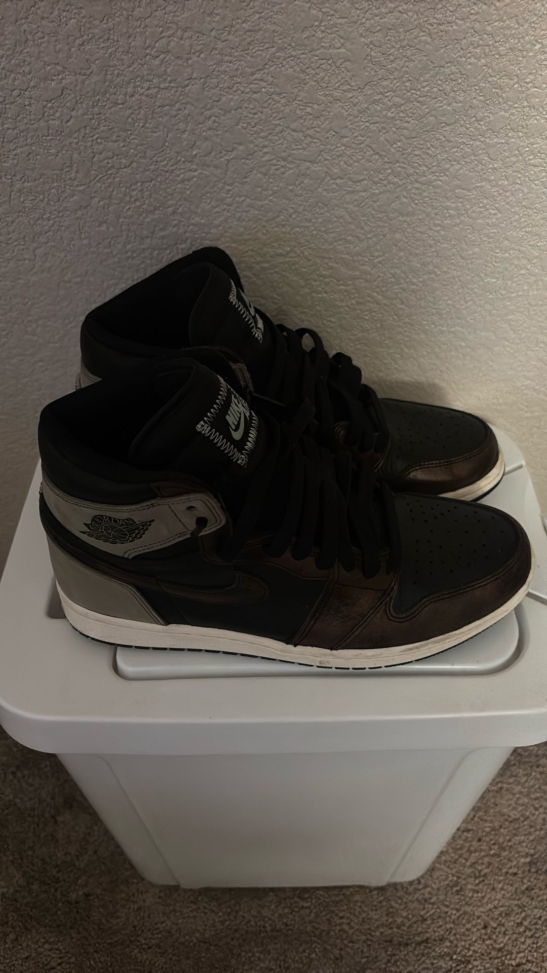 Jordan 1s