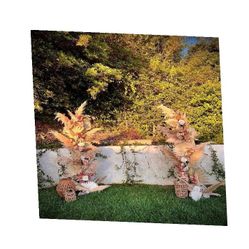 Tailored Wedding Backdrops – Design Your Perfect Wedding Day see party