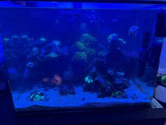 45 gallon jbj curved corner aio