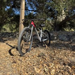 Polygon Xtrada 5 