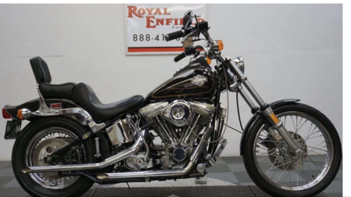1984 Harley softail