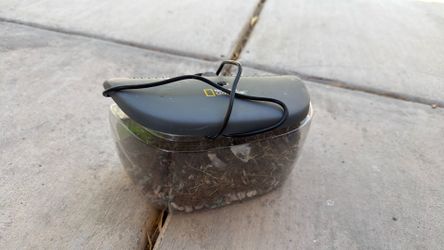 Small plant terrarium