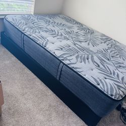 Queen Mattress With Spring Box