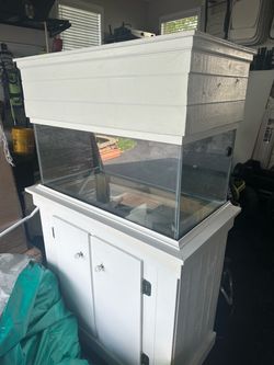 Fish tank with filters