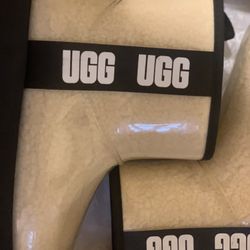 Cream/light Light Brown UGGS