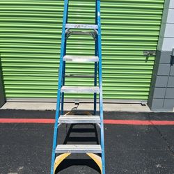 Werner 6ft ladder