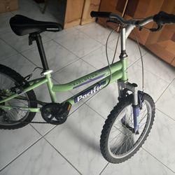 Beautiful Boy or Girl 18" Six Speed Bike