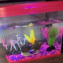 Acuario