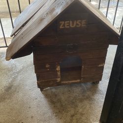 Dog House 