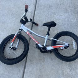 Specialized 16 Inch RipRock 