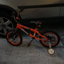 Toddler Bike