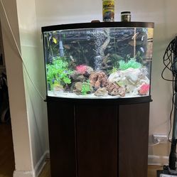 Aquarium, Tank Gallons 50 