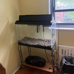 29 Gallon Tank 
