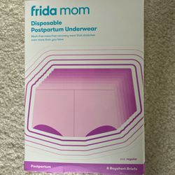 Frida Mom Disposable Postpartum Underwear 
