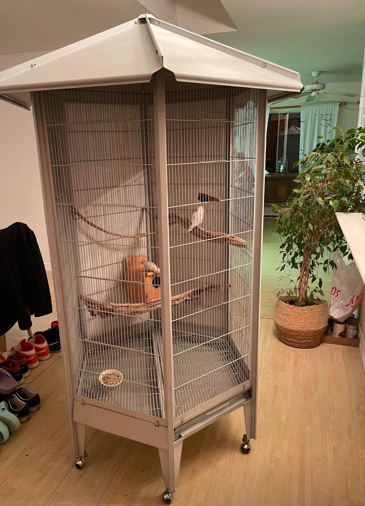 Bird Cage