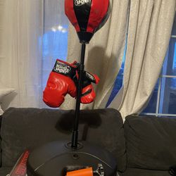 Punching Ball adjustable with gloves