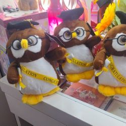 Graduation Plushies 🎓