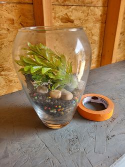 Fish 🐟 🐠 Bowl New $10