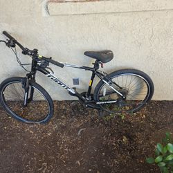 $200 Giant ATX mountain bike