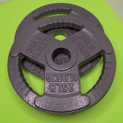 2" Center Cast Iron 2 X 25 Lb Weight Plate Strength Training & Weightlifting