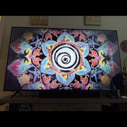 VIZIO 75” TV