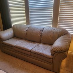 Leather Sleeper Sofa & Love Seat 