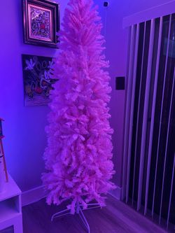 Christmas in July!! A lot of Christmas trees on sale