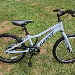 Gaint Xtc 20"
