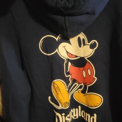 Disney Sweater 2xxL Excellent Condition 