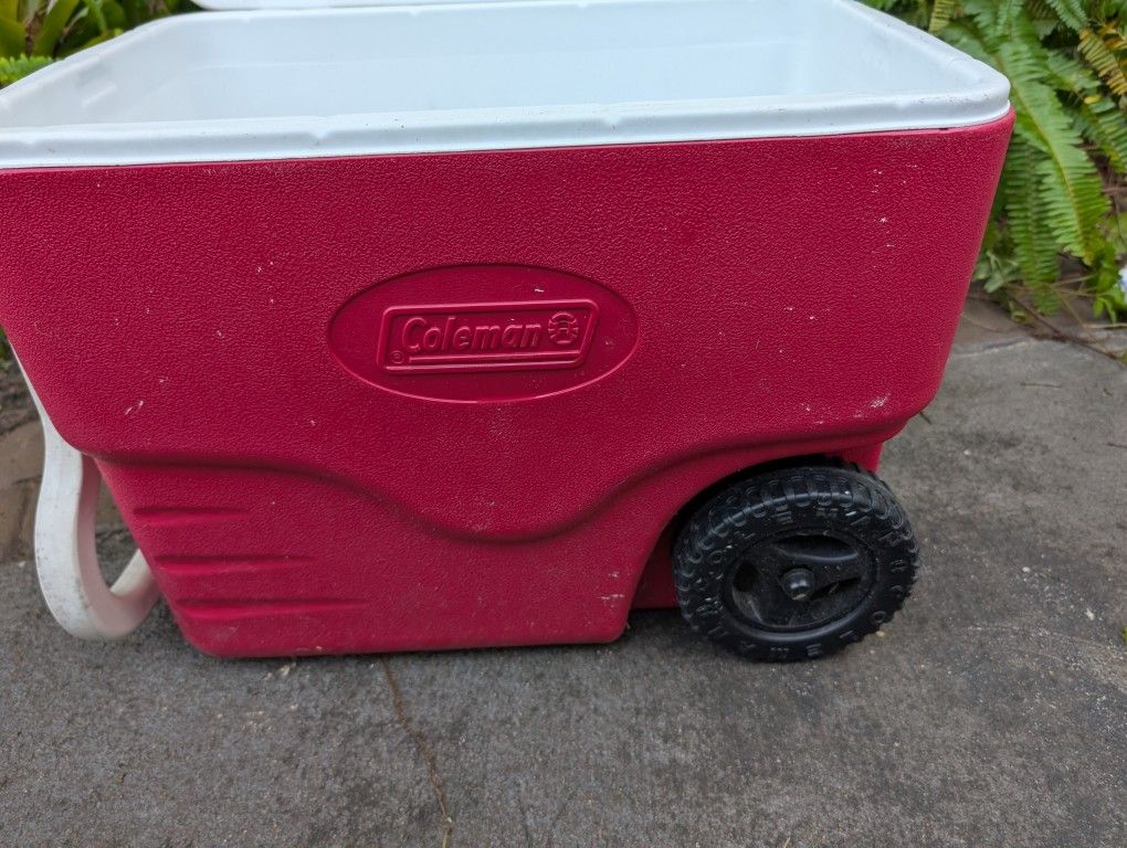 Coleman Cooler