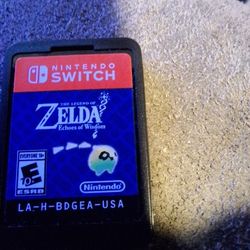 The Legend Of Zelda Echoes Of Wisdom 
