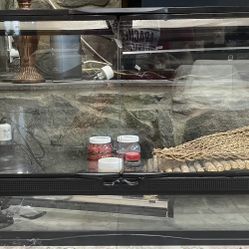 Reptile Tank (40 gallons) 
