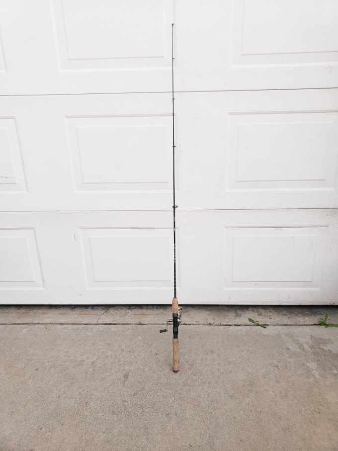 Fishing Pole With Reel