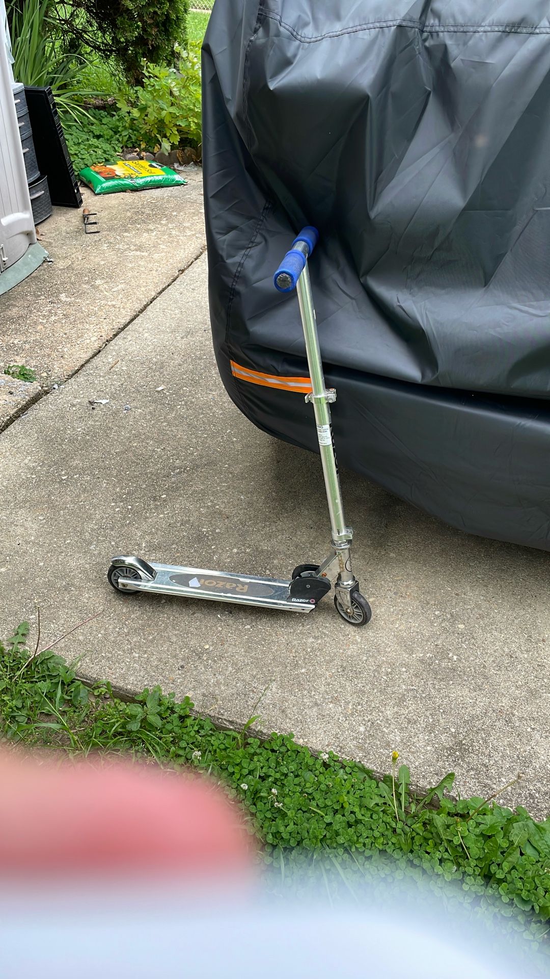 Razor Mini Scooter