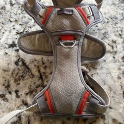 Small Dog Harness No Damage