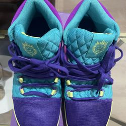 Nike Lebron Witness 8